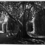 1938 Estate al Giardino Scotto o Giardino Scotto (esposto alla  IX Rassegna Provinciale - la foto reca la dicitura: &quot;Proprietà Municipio di Pisa&quot;)