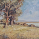 anni 30 Paesaggio con alberi (olio su cartone cm 32x40,5)