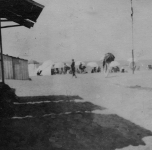 l'ombra delle cabine (orizzontale)