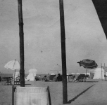 due grandi pali in primo piano