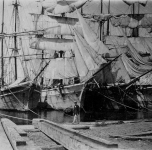 le navi nel porto