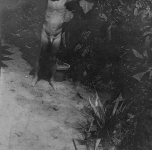 nel giardino