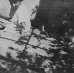 l'ombra del pergolato
