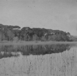 vicino al lago 2 