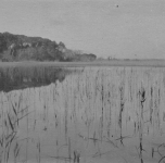 vicino al lago 1